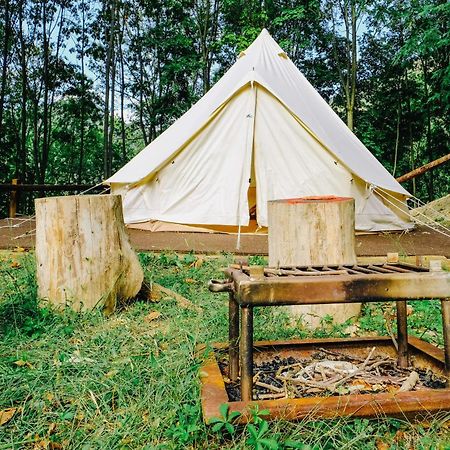 Agriturismo Ca' Fenile Alzano Lombardo エクステリア 写真