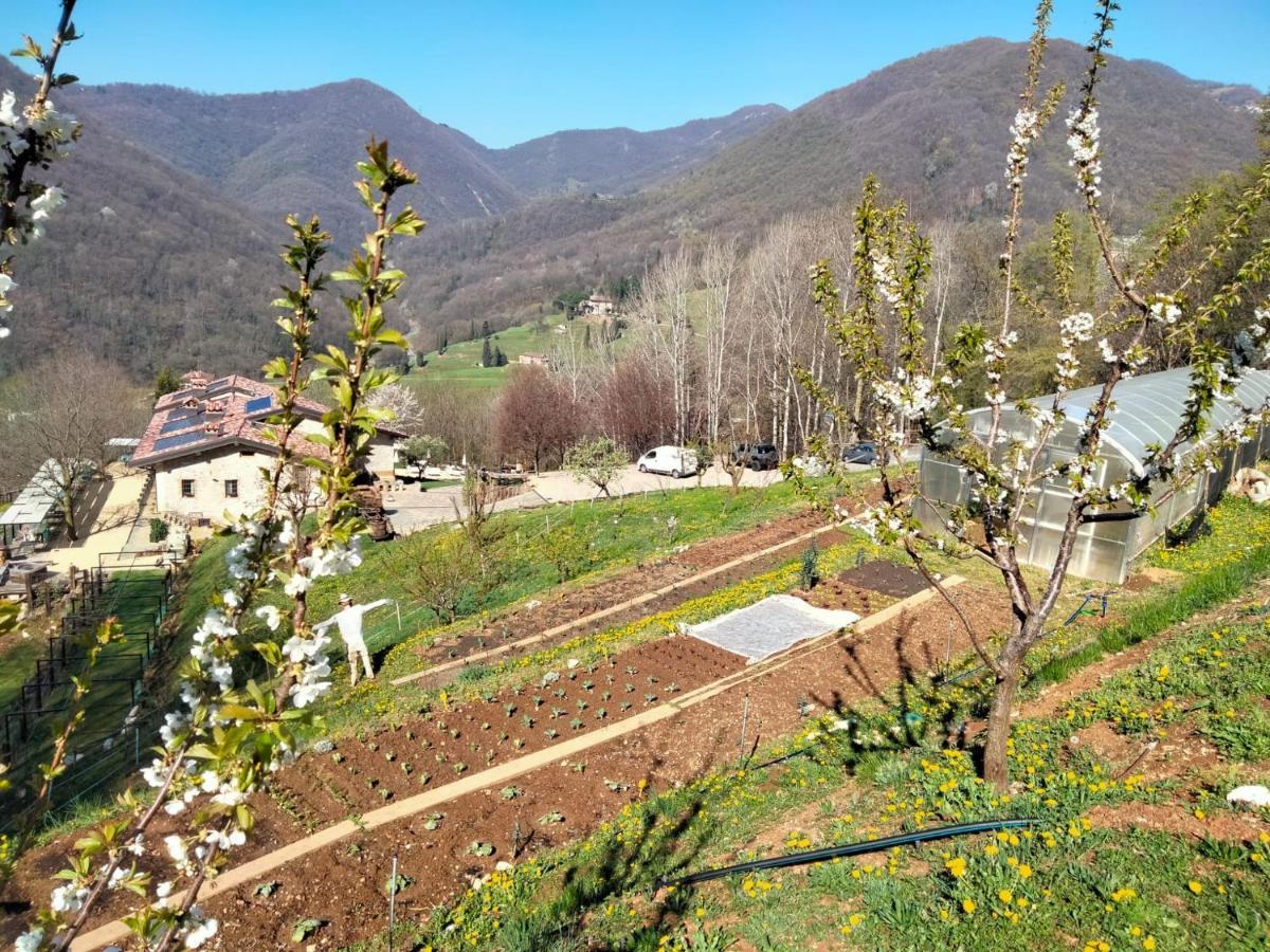 Agriturismo Ca' Fenile Alzano Lombardo エクステリア 写真