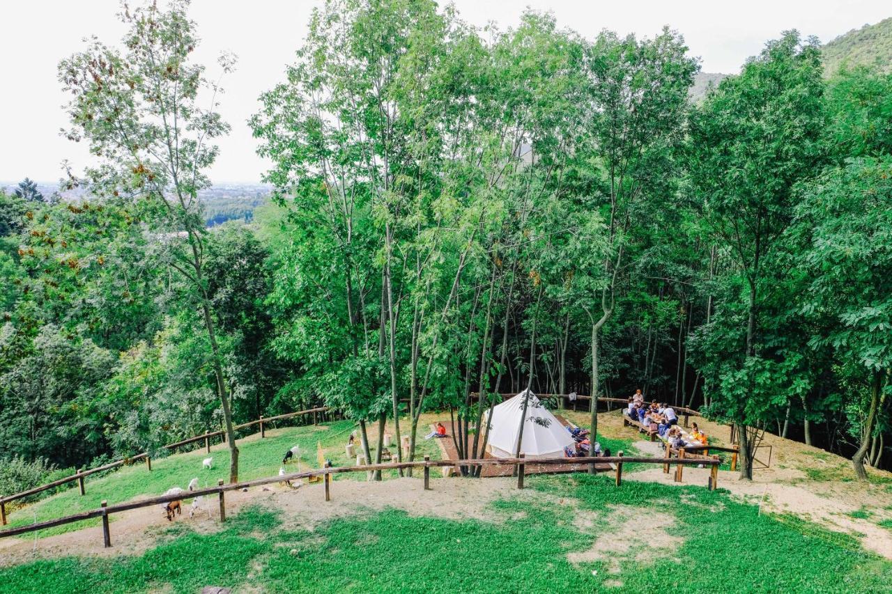 Agriturismo Ca' Fenile Alzano Lombardo エクステリア 写真
