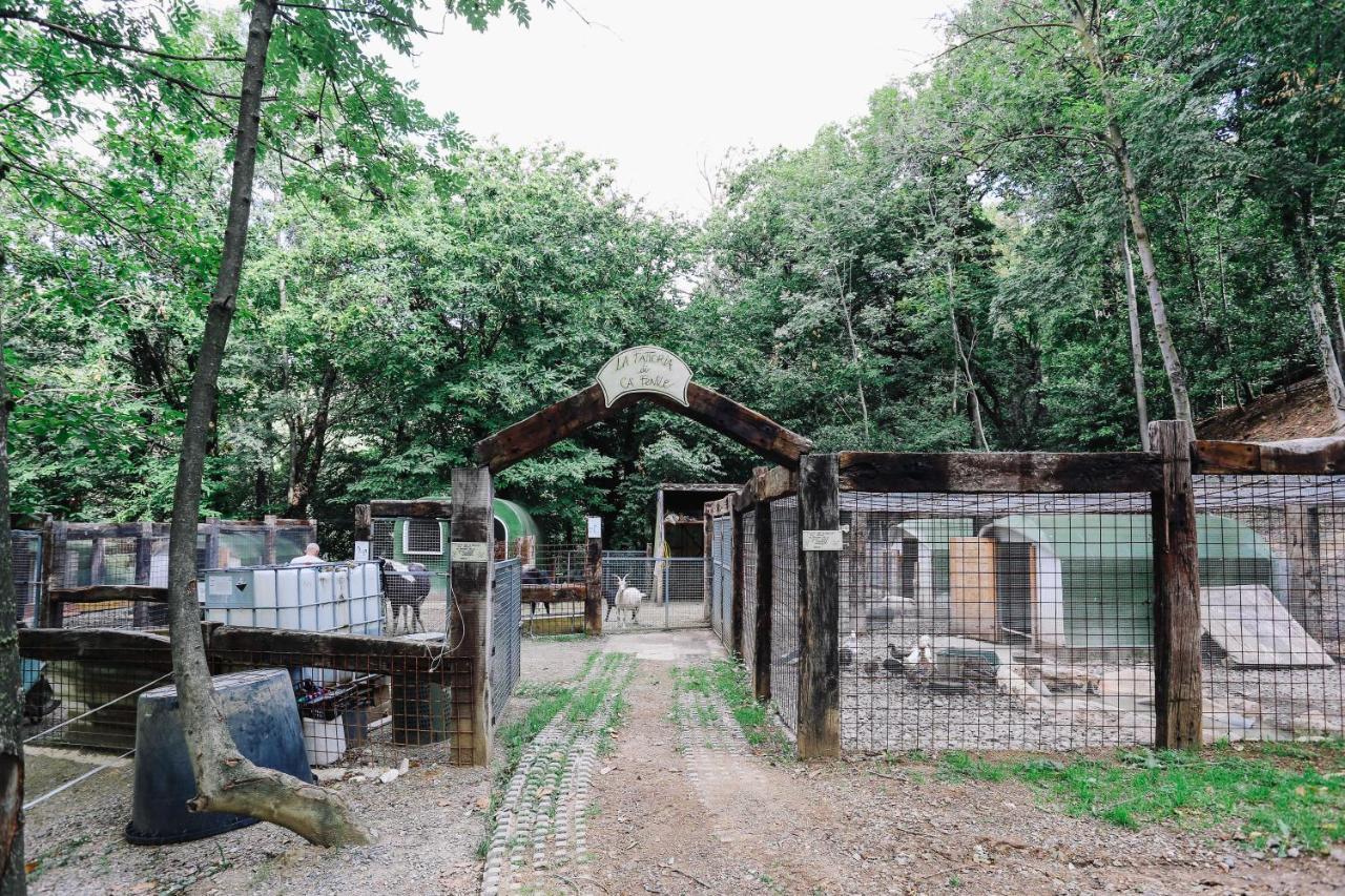 Agriturismo Ca' Fenile Alzano Lombardo エクステリア 写真