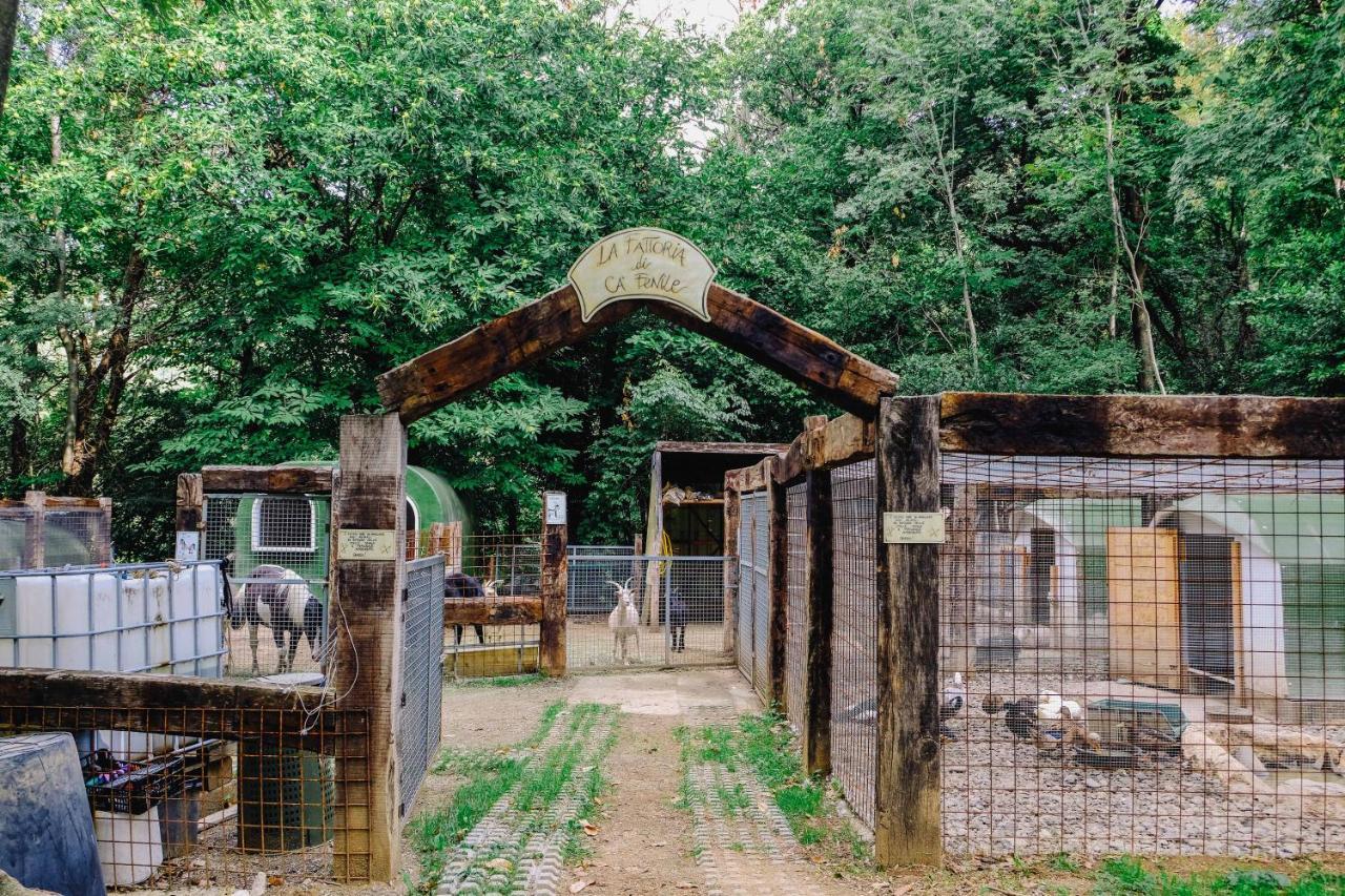 Agriturismo Ca' Fenile Alzano Lombardo エクステリア 写真