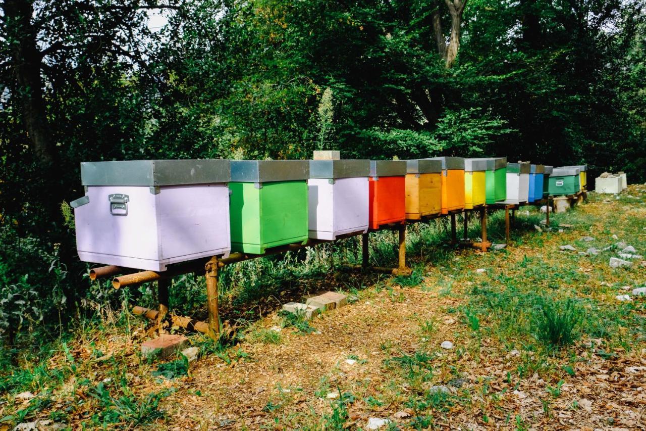 Agriturismo Ca' Fenile Alzano Lombardo エクステリア 写真