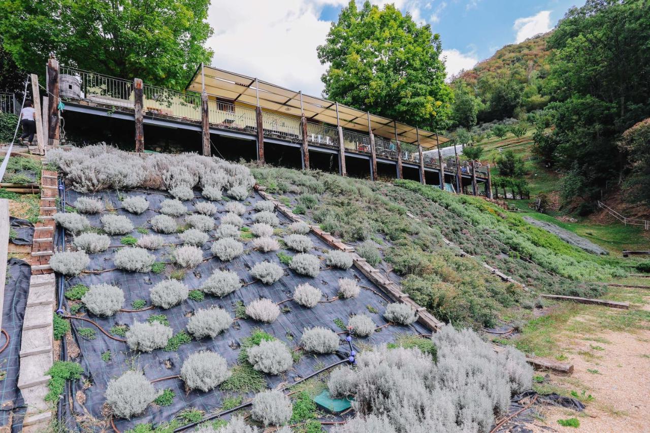 Agriturismo Ca' Fenile Alzano Lombardo エクステリア 写真