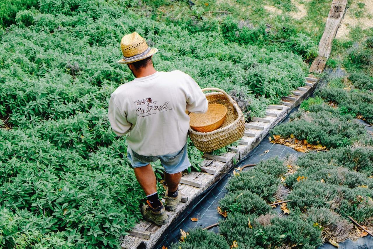 Agriturismo Ca' Fenile Alzano Lombardo エクステリア 写真