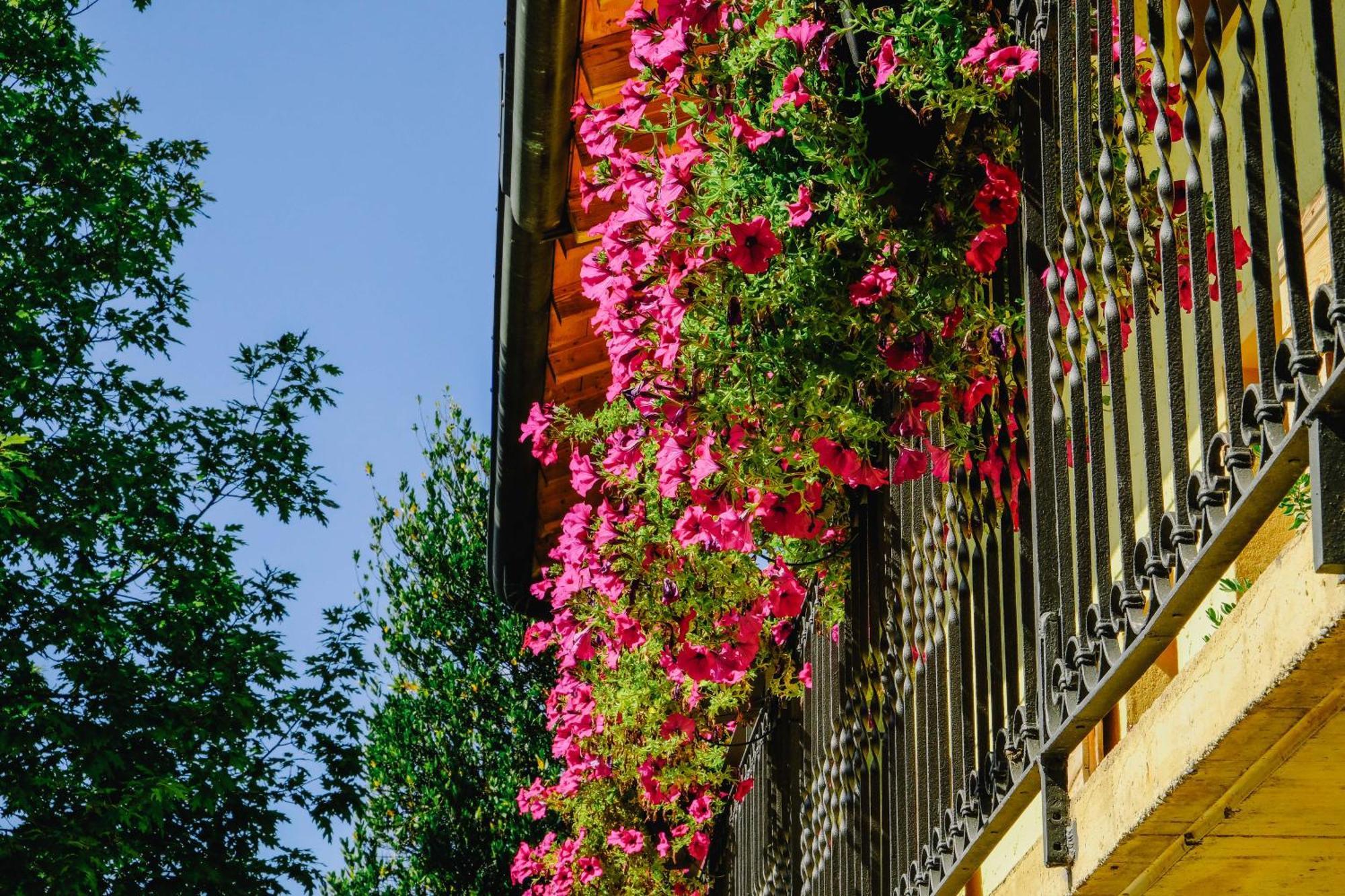 Agriturismo Ca' Fenile Alzano Lombardo エクステリア 写真
